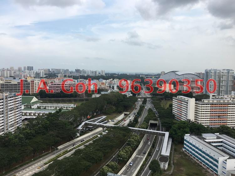Blk 38 Upper Boon Keng Road (Kallang/Whampoa), HDB 5 Rooms #172573532